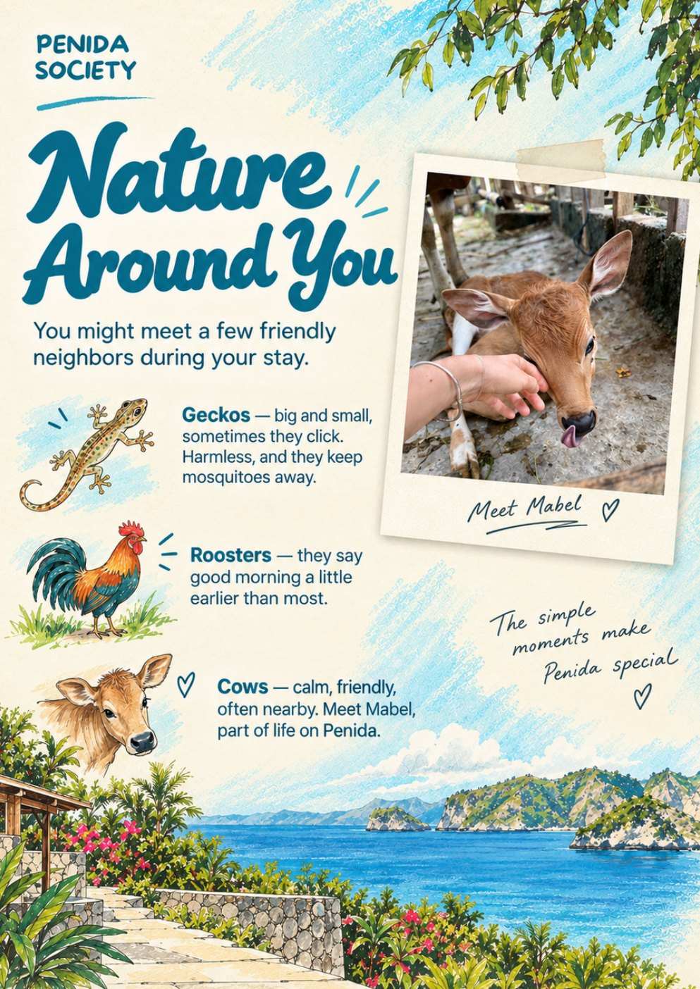 The Penida Society guest guide, page 12
