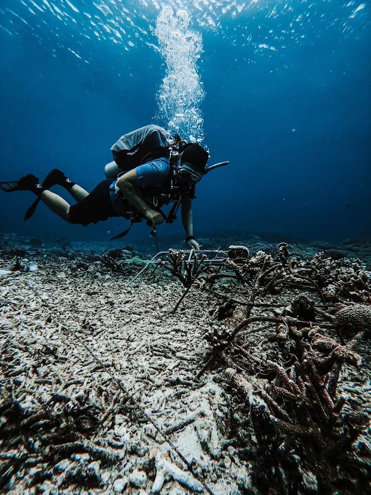 Underwater swimming on Nusa Penida