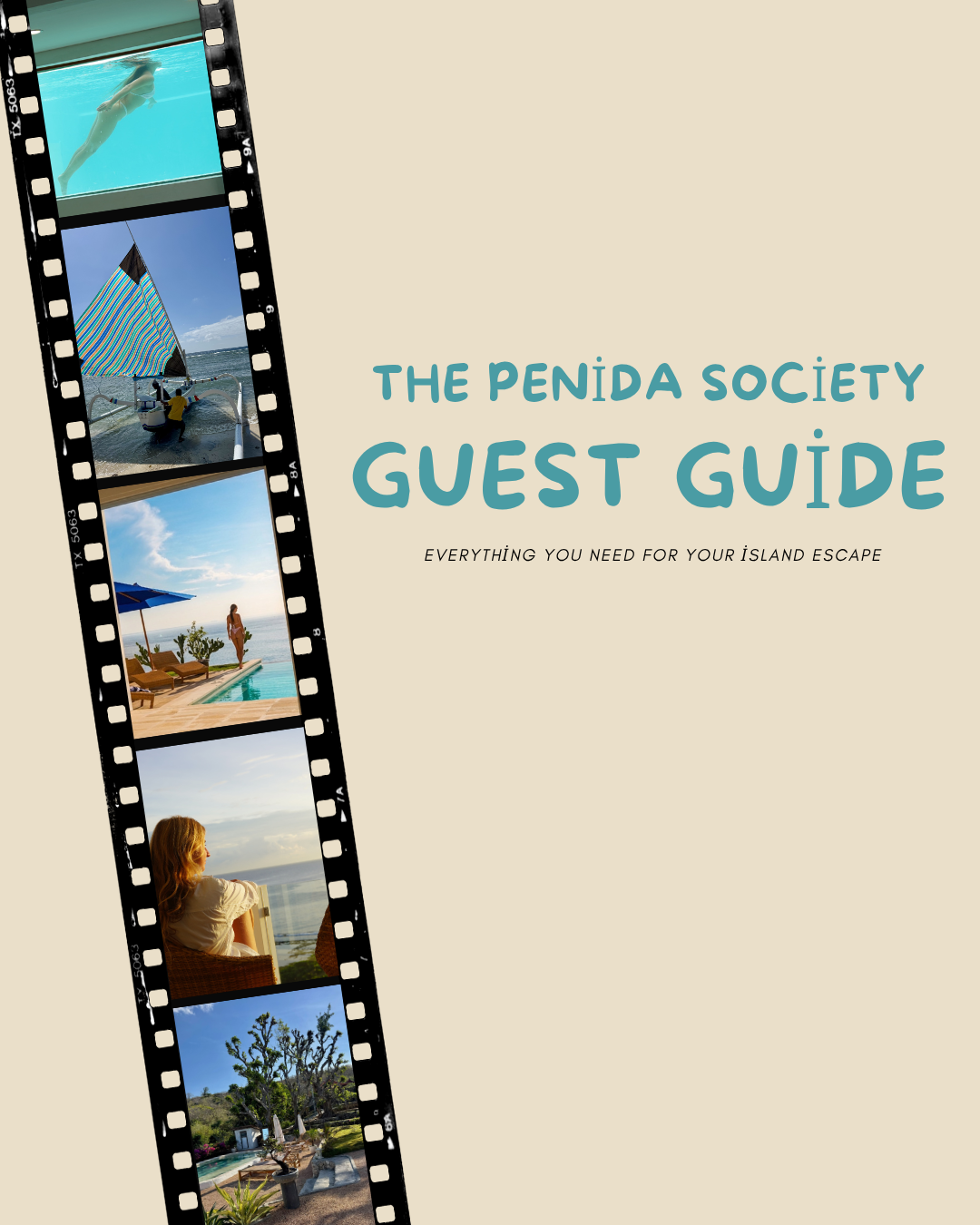 Guest Guide