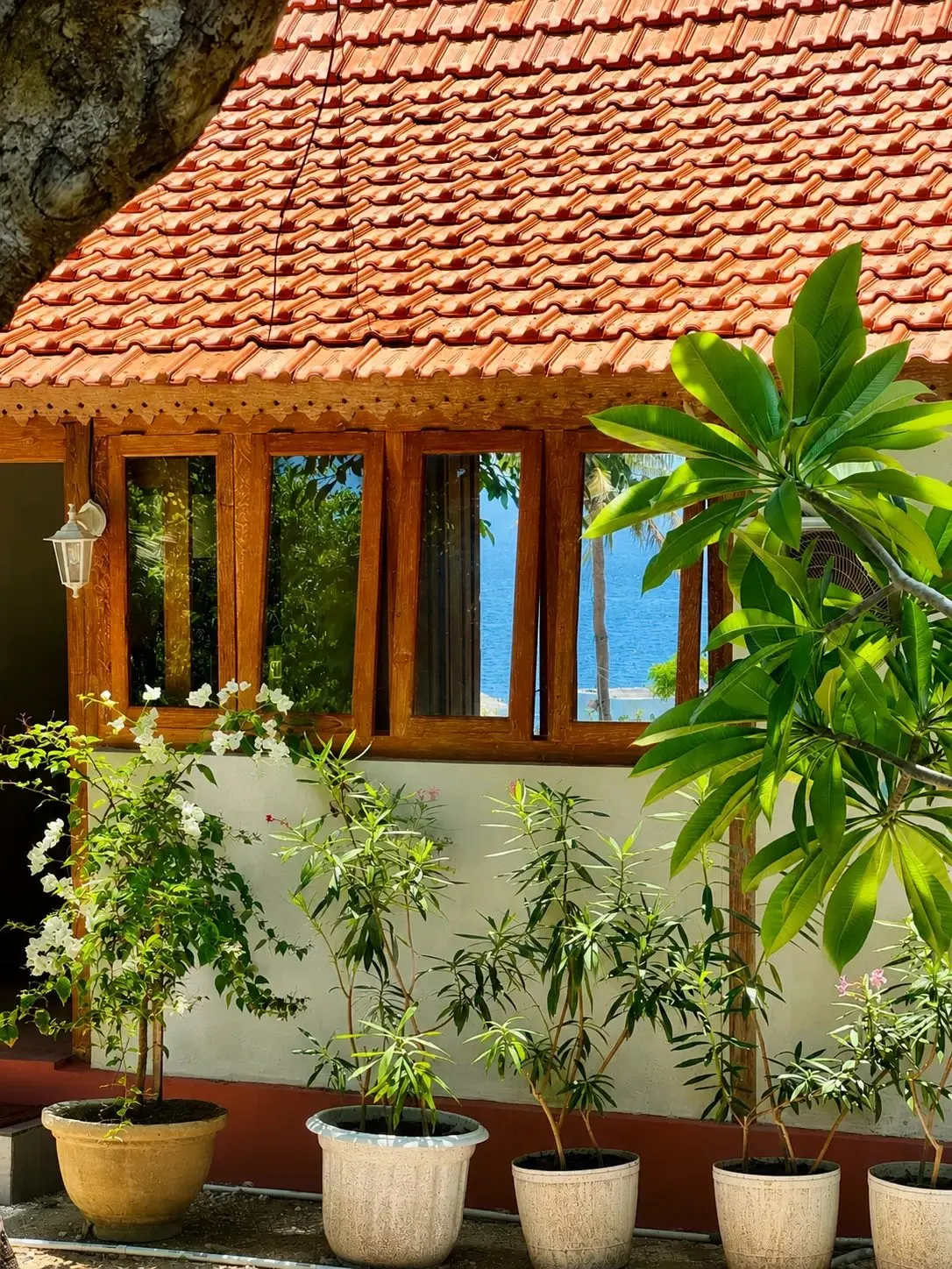 Villas Roc-Azur à Nusa Penida, photo 15